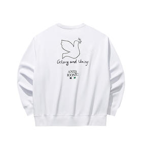 安踏套头卫衣男士2025秋季新款宽松长袖休闲上衣运动服152538706