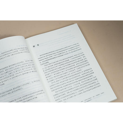 国际视野下的刑事判决 [德]迈克尔·布兰德 岳礼玲 郭烁主编 法律出版社 商品图5