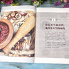 吃对是补，吃错是毒：家庭中药进补全指导 商品缩略图2