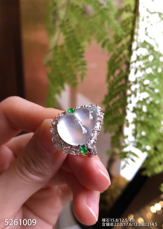 5261009，葫芦戒指。具体价格微信咨询 商品图0