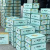 地得晴王【件】 商品缩略图2