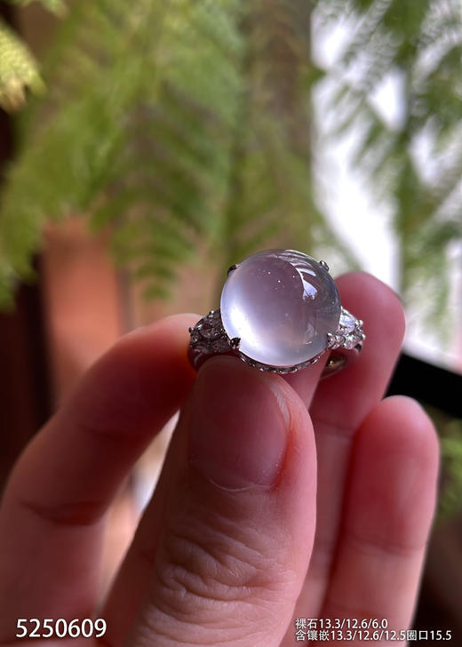 5250609，蛋面戒指。具体价格微信咨询 商品图2