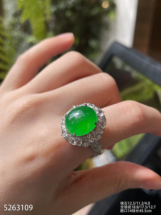 5263109、蛋面戒指吊坠两用款。具体价格微信咨询 商品图3