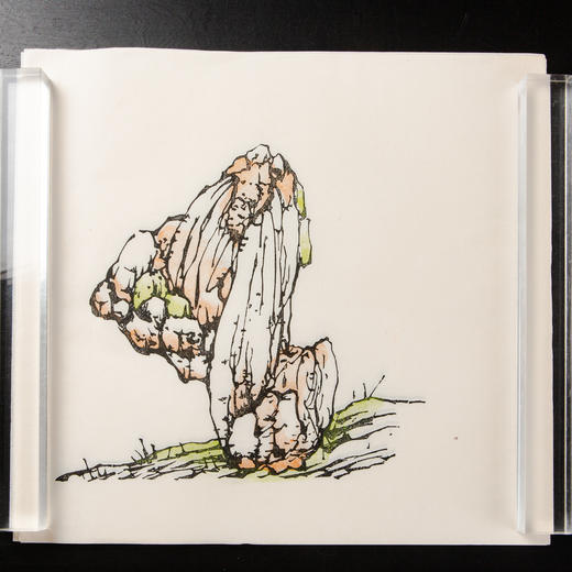 80年代木版水印十竹斋画谱单页 商品图11