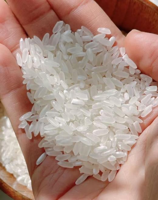 🎁送礼就送五常大米 ‼️限量1000单秒杀59.9元🔟斤 【虞日鲜东北五常大米】 🍚 【 国家三标认证❗️黑龙江五常当季新米】 采用优质培育米种，使用传统农耕农法种植 商品图1