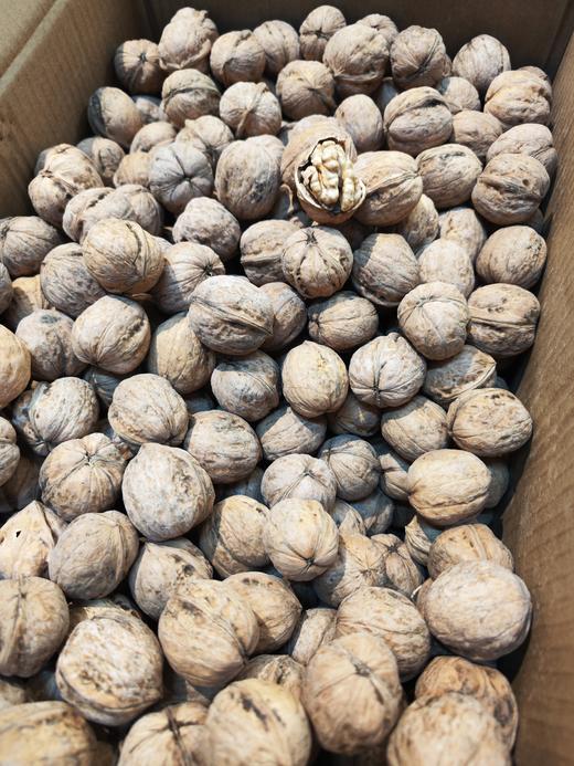 新疆185A级纸皮核桃  阿克苏185纸皮核桃 薄皮 薄壳   坚果系列！ 商品图4