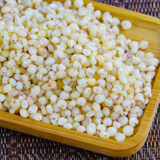 【食品】五谷杂粮高粱米养生粗粮白高粱500克 商品图1