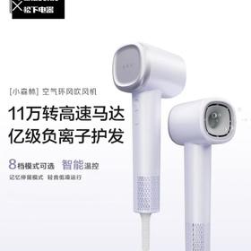 【春上新】10楼 松下（Panasonic）小森林电吹风机家用高速大功率速干负离子护发便携吹风筒NE6L 吊牌价349元  活动价259元