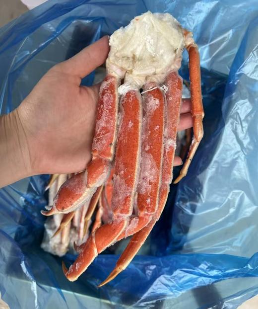 雪蟹腿  2kg装 商品图2