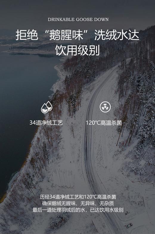 自然醒贝琪白鹅绒被经典款LB 商品图2