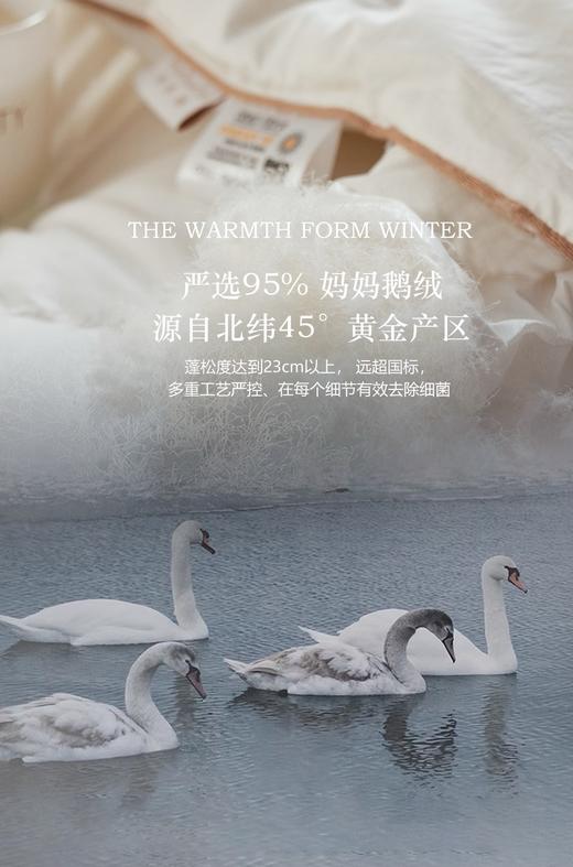 自然醒贝琪白鹅绒被经典款LB 商品图7