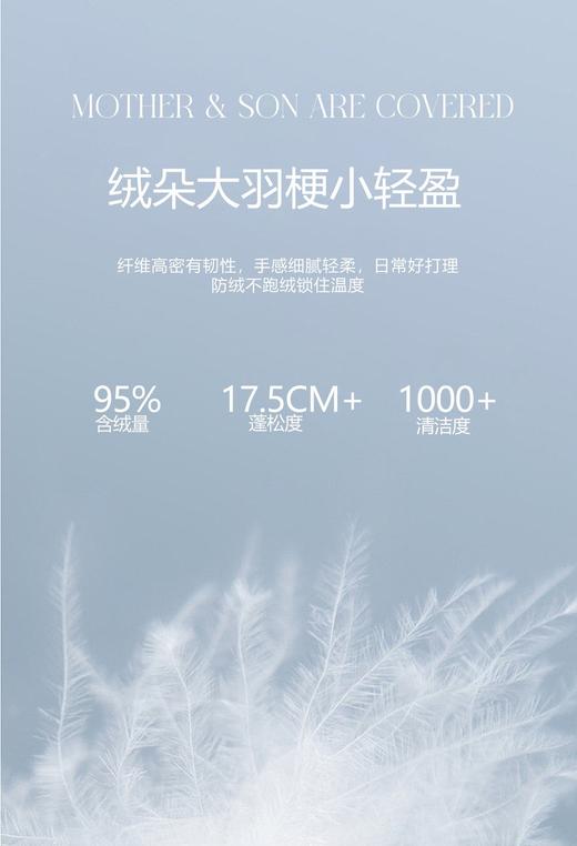 自然醒塞维尔双生鹅绒被旗舰款LB 商品图4