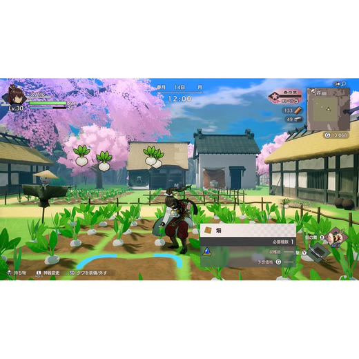 【共享租借】任天堂Switch2游戏卡 符文工房 龙之天地 商品图4