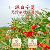 杞利元 枸杞 宁夏特级红枸杞子500g 中宁特产干货 纯正宗头茬枸杞子泡酒 /粮油调味 /南北干货 /果茎食补干货 商品缩略图4
