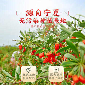 杞利元 枸杞 宁夏特级红枸杞子500g 中宁特产干货 纯正宗头茬枸杞子泡酒 /粮油调味 /南北干货 /果茎食补干货 商品图4