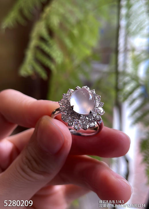 5280209，蛋面戒指。具体价格微信咨询 商品图0