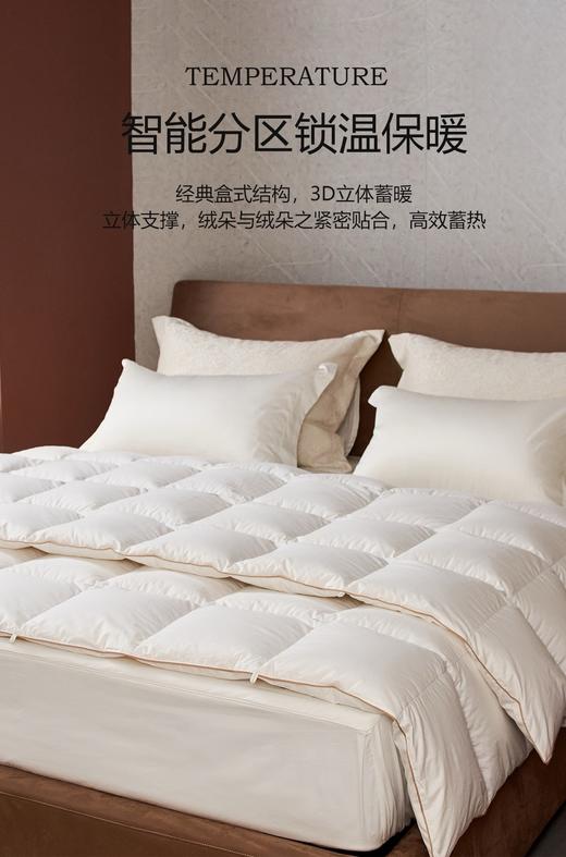 自然醒贝琪白鹅绒被经典款LB 商品图1