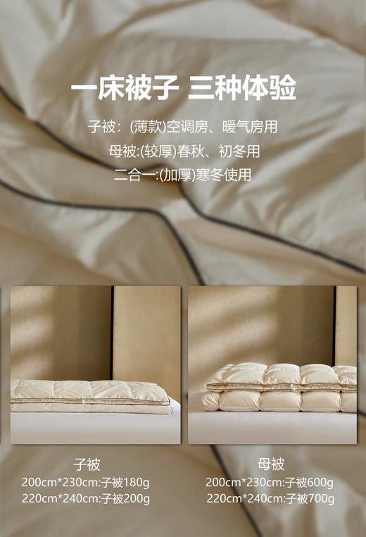 自然醒塞维尔双生鹅绒被旗舰款LB 商品图6