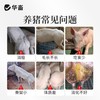 双胞胎4%育成猪预混料育肥增肥猪用肥猪兽用消化吸收好体型好预混料 商品缩略图1