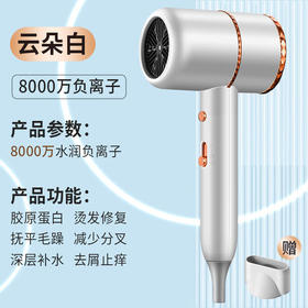 戴（DYSN）森同款式电吹风机宿舍专用学生大小功率不伤发家用负离子护发寝室电吹风筒+扁风嘴