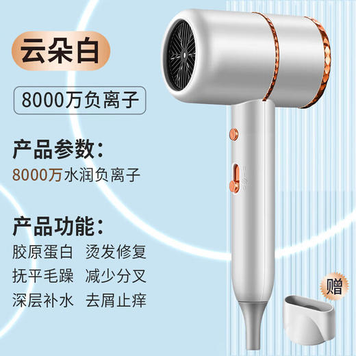 戴（DYSN）森同款式电吹风机宿舍专用学生大小功率不伤发家用负离子护发寝室电吹风筒+扁风嘴 商品图0