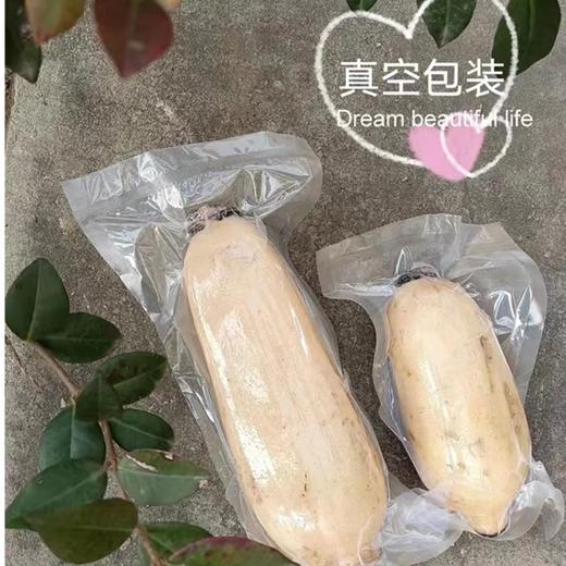 东平九孔莲藕红花细藕 现挖现发无农化自然生长蔬菜 真空包装 商品图4