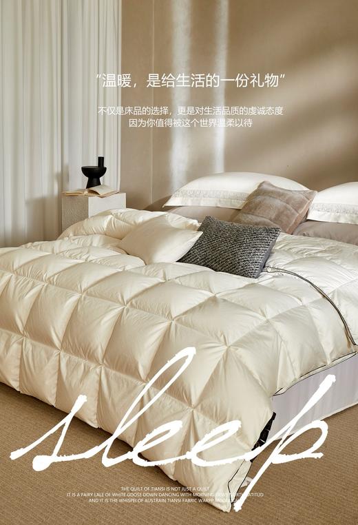 自然醒塞维尔双生鹅绒被旗舰款LB 商品图8