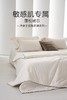自然醒净卫士·低敏防螨双芯被轻悦款子母被LB 商品缩略图1