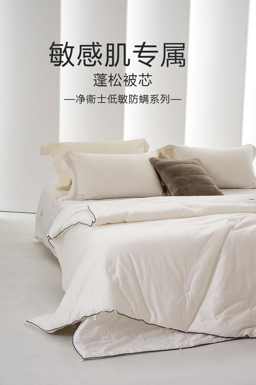 自然醒净卫士·低敏防螨双芯被轻悦款子母被LB 商品图1