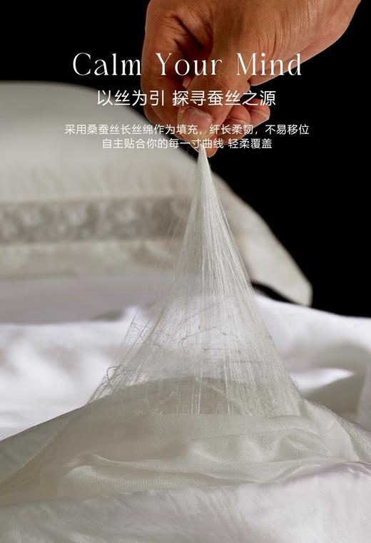 自然醒弗伦娜100%桑蚕丝春秋冬被LB 商品图1