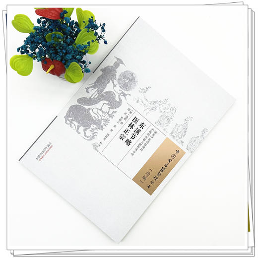 东溪节略医林正宗 (明) 饶鹏 中国古医籍整理丛书:续编 中国中医药出版社 商品图1