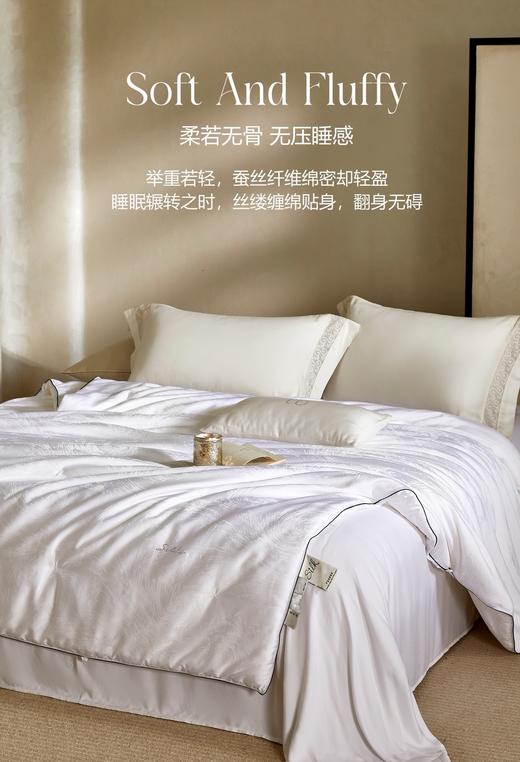 自然醒弗伦娜100%桑蚕丝春秋冬被LB 商品图6