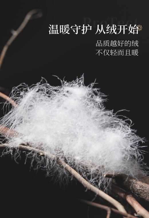 自然醒塞维尔双生鹅绒被旗舰款LB 商品图3