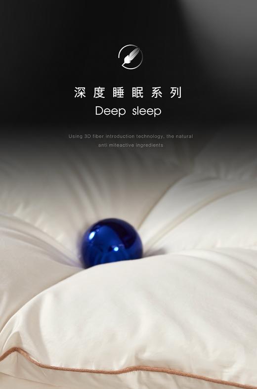 自然醒贝琪白鹅绒被经典款LB 商品图3