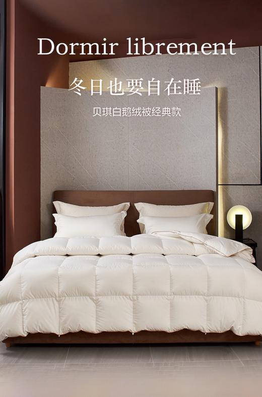 自然醒贝琪白鹅绒被经典款LB 商品图0