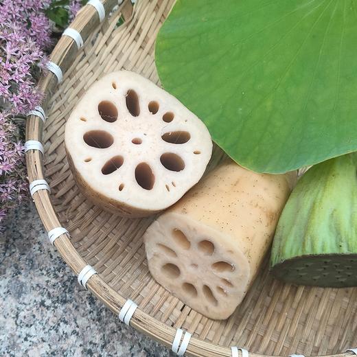 东平九孔莲藕红花细藕 现挖现发无农化自然生长蔬菜 真空包装 商品图2