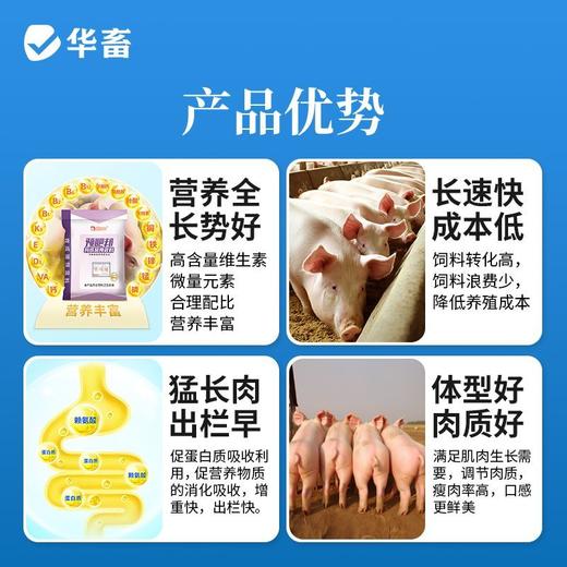 双胞胎4%育成猪预混料育肥增肥猪用肥猪兽用消化吸收好体型好预混料 商品图3