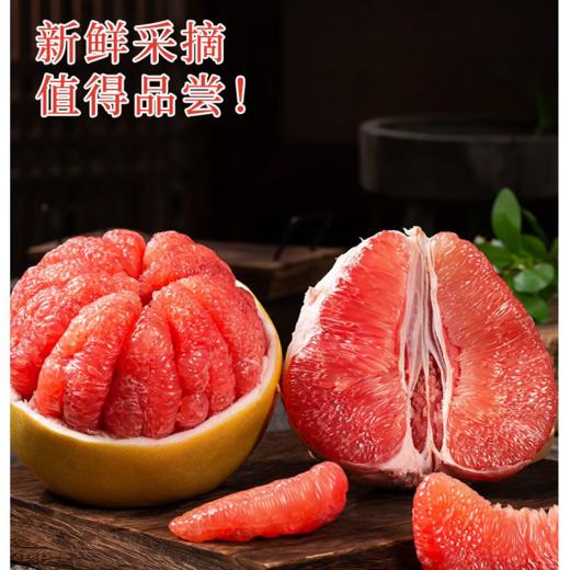 福建平和三红蜜柚/个 商品图1