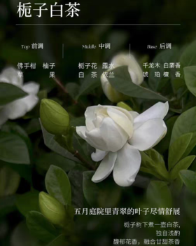 尹谜观雨系列无火香薰