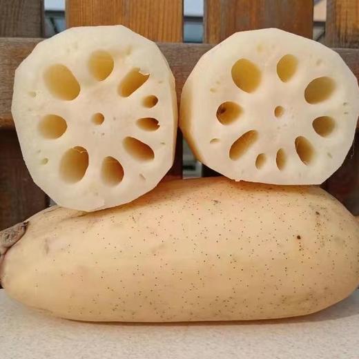 东平九孔莲藕红花细藕 现挖现发无农化自然生长蔬菜 真空包装 商品图0