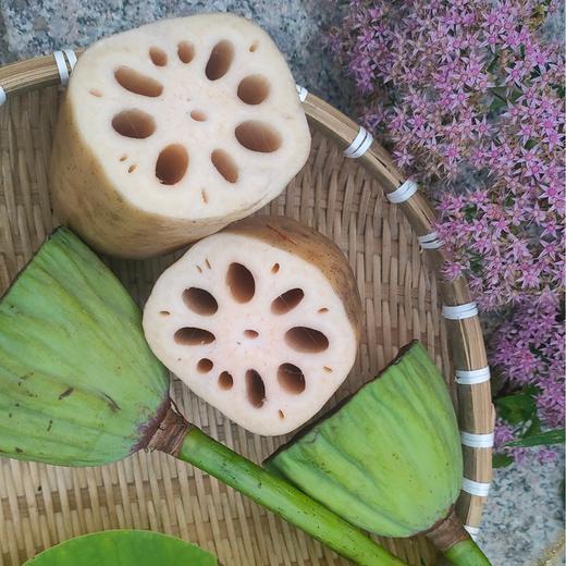 东平九孔莲藕红花细藕 现挖现发无农化自然生长蔬菜 真空包装 商品图1