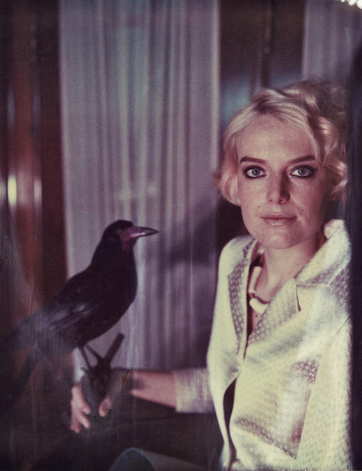 宝丽来国际大师 卡门・德・沃斯（Carmen De Vos） 商品图3