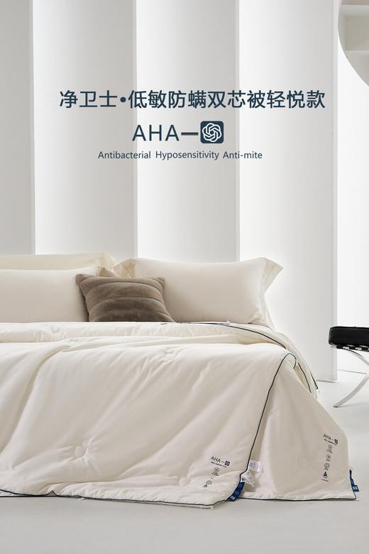 自然醒净卫士·低敏防螨双芯被轻悦款子母被LB 商品图0