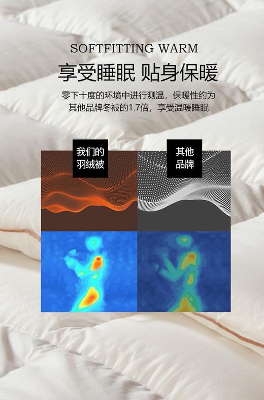 自然醒贝琪白鹅绒被经典款LB 商品图4