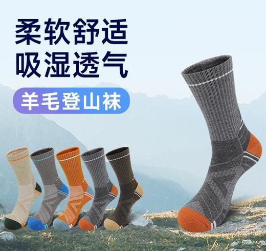 【买一送一】秋冬户外保暖美利奴羊毛袜保暖防滑登山徒步袜透气防滑运动袜批发 商品图0