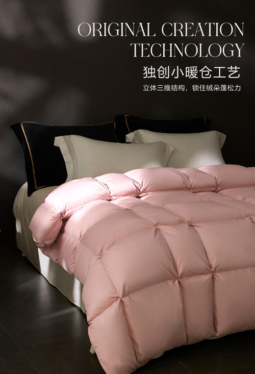 自然醒小暖仓白鹅绒冬被LB 商品图1