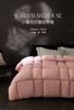 自然醒小暖仓白鹅绒冬被LB 商品缩略图0