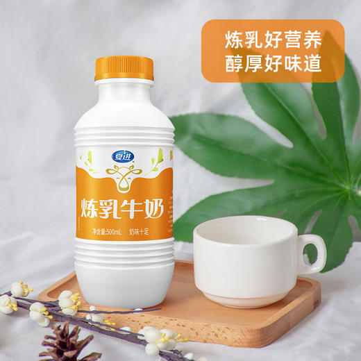 夏进炼乳牛奶500ml×12瓶 商品图3