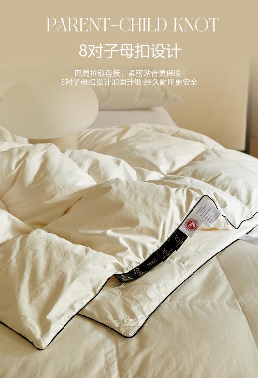 自然醒塞维尔双生鹅绒被旗舰款LB 商品图7