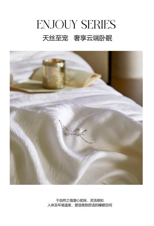 自然醒弗伦娜100%桑蚕丝春秋冬被LB 商品图2